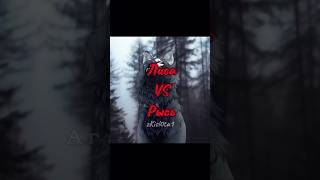 Рысь VS Лиса #рекомендации #видео #wildcraft #эдит #рысь #vs #лиса #ночной #актив #1к #zKisl0ta1 Рысь VS Лиса #рекомендации #видео #wildcraft #эдит #рысь #vs #лиса #ночной #актив #1к #zKisl0ta1