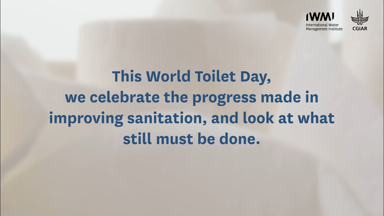 Valuing water and sanitation services | IWMI