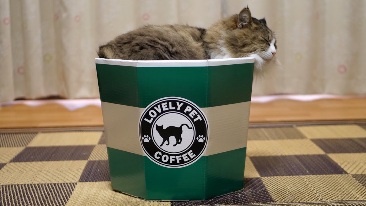 ボス猫コーヒー