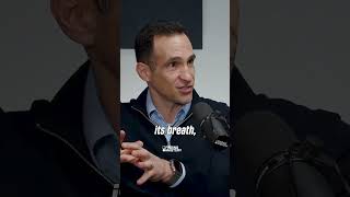 The Experiment That Changed Human Potential I Dr.Michael Gervais & Nir Eyal