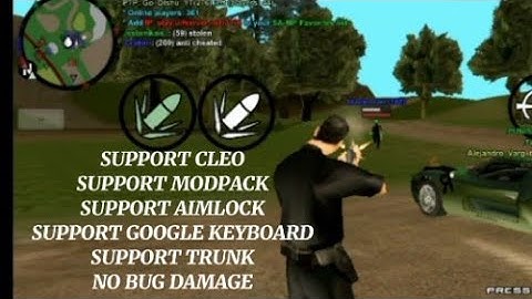 SAMP ALYN SUPPORT AIMLOCK