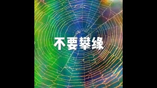 201505 不要攀缘20146