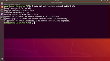 Python Import Error ModuleNotFoundError: No Module Named Selenium