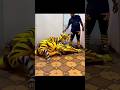 Funny Videos || #funny #shortvideo #funnyvideo #trending #sound #viral #memes