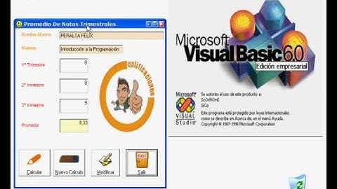 VIDEO 09 - ALUMNOS 4º 3º - 2010 - SISTEMAS VISUAL BASIC 6
