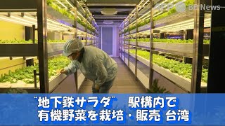 「地下鉄サラダ」 駅構内で有機野菜を栽培・販売 台湾（2022年9月撮影）