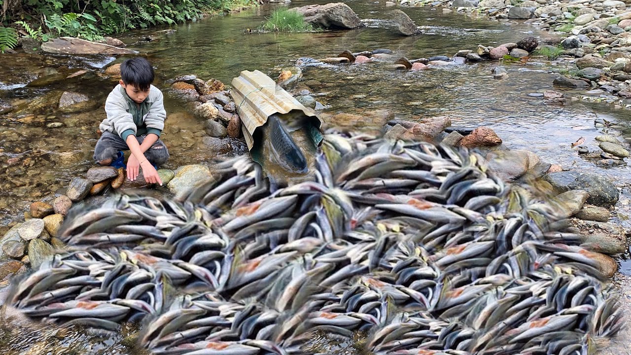 How to Catch Primitive Fish / Harvest Many Big Fish / Fishing