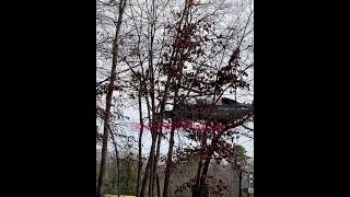 Marine One Departing.