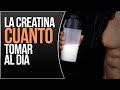 ¿Cuantos gramos de creatina tomar al día?