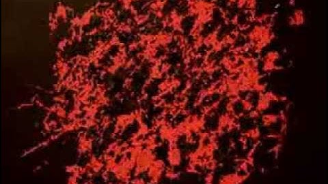 OLD JERUSALEM - The Go-Between (Official Video)