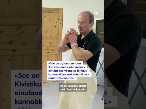 Istanduses kasvab ligi tuhat viinapuud 🍇 😲#postimees