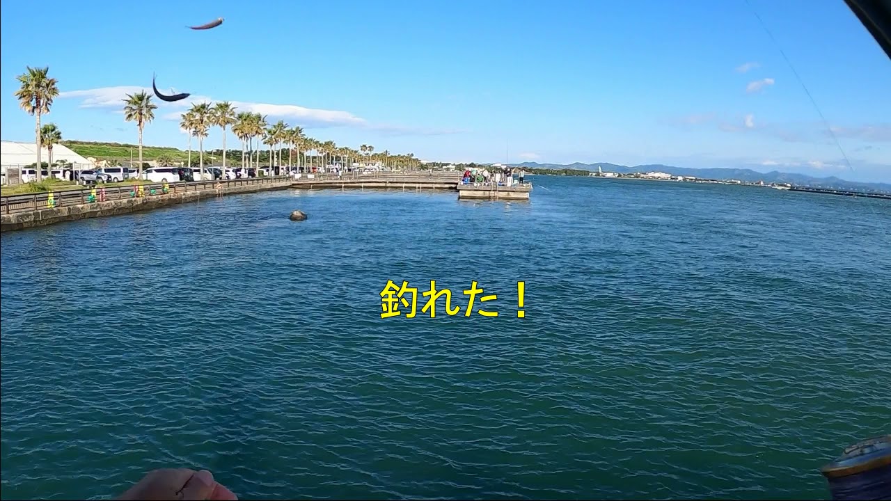 小アジ釣り 表浜名湖新居弁天海釣公園 21 5 2 Youtube