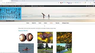 Image Gallery Spacing