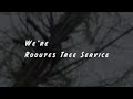 We're "Rooutes Tree Service"【生活支障木伐採の現場より】