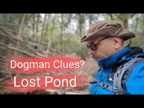 Dogman: We Slipped Through the Back Door to a Lost Pond (Did We Find Missed Signs?)