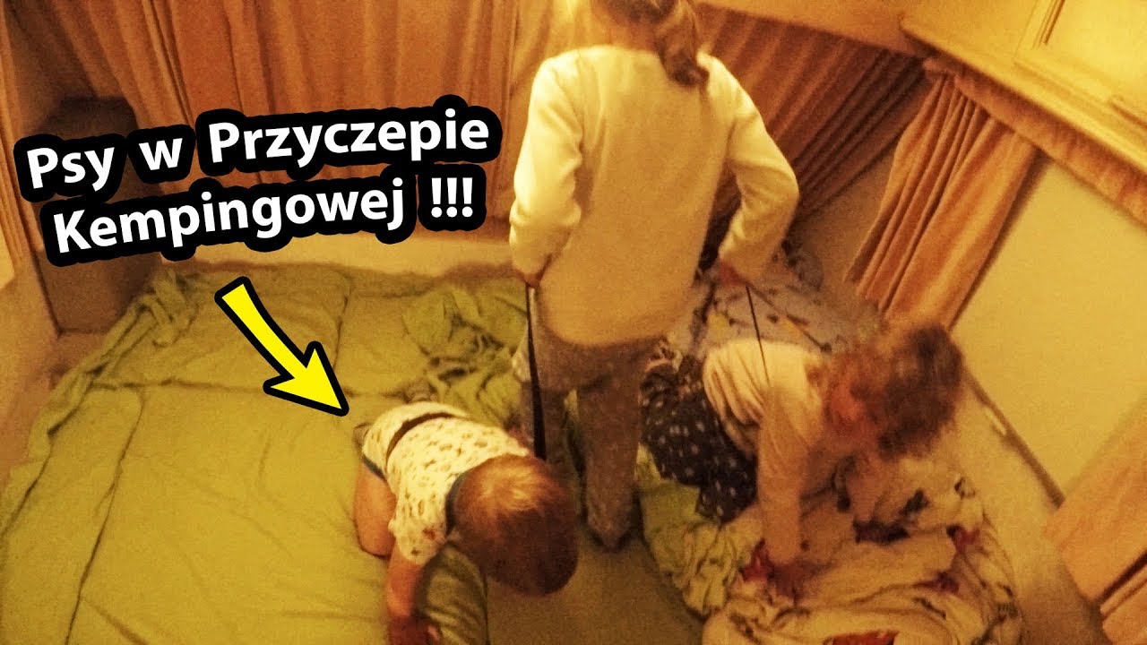 Przyczepa Kempingowa i ... Dwa Psy !!! - Jak to u nas Wygląda? (Vlog 