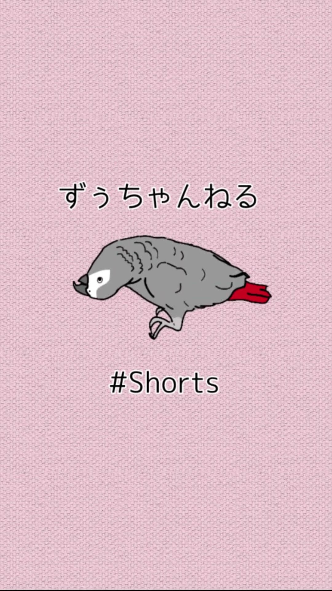 Talking African Grey Parrot that's 