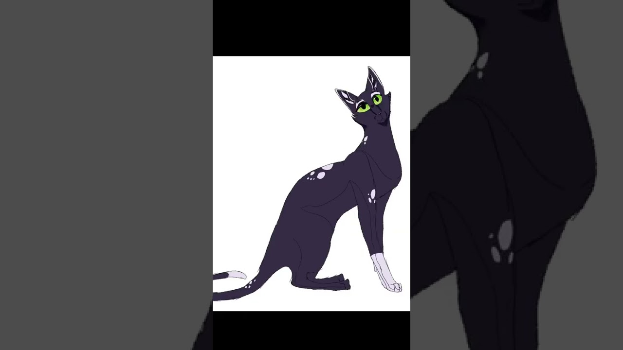 Spottedshadow Timelapse speedpaint (for 