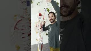 5 Beginner Moves To Do Daily