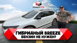 видео: ОБЗОР НА HONDA BREEZE HYBRID 2.0 e-CVT e: PHEV. ОТЗЫВ НА ХОНДУ БРИЗ ПОСЛЕ ДВУХ МЕСЯЦЕВ ВЛАДЕНИЯ картинка: ОБЗОР НА HONDA BREEZE HYBRID 2.0 e-CVT e: PHEV. ОТЗЫВ НА ХОНДУ БРИЗ ПОСЛЕ ДВУХ МЕСЯЦЕВ ВЛАДЕНИЯ