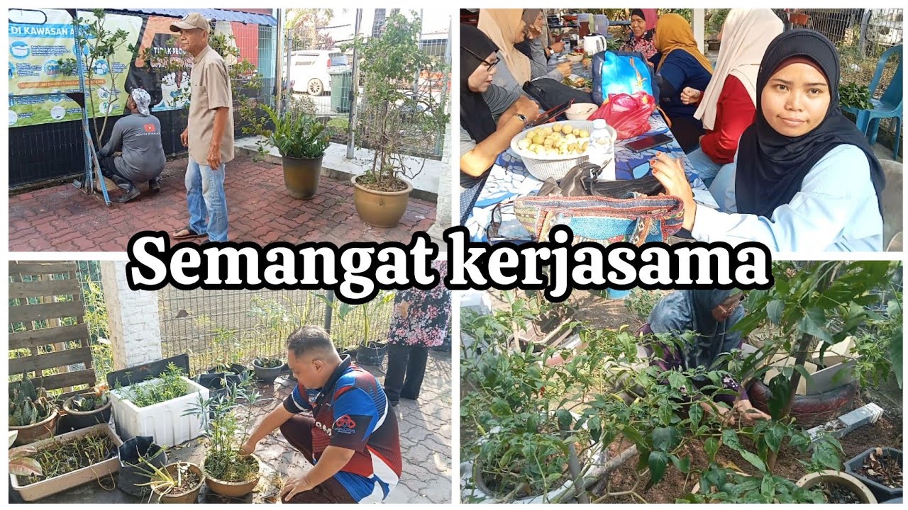 GOTONG ROYONG || KEBUN KOMUNITI PKD PAYA JARAS|| SEMANGAT KERJASAMA 