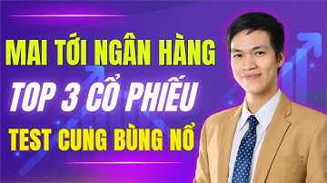 Cổ Phiếu Ngân Hàng Mai Nổ: 3 Mã Hút Dòng Tiền Khủng Sau Bất Động Sản