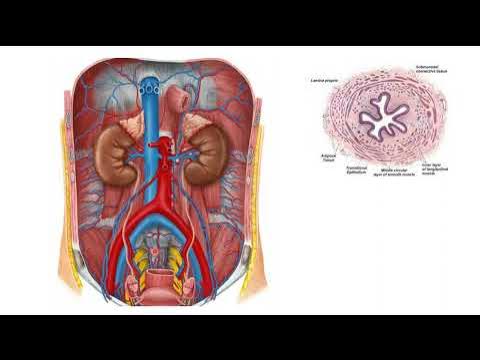 Ең жақсы порно xx