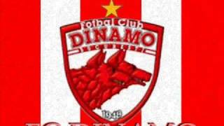 Dinamo-Cantece de galerie