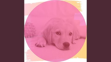 Pulsating Energetic Puppies