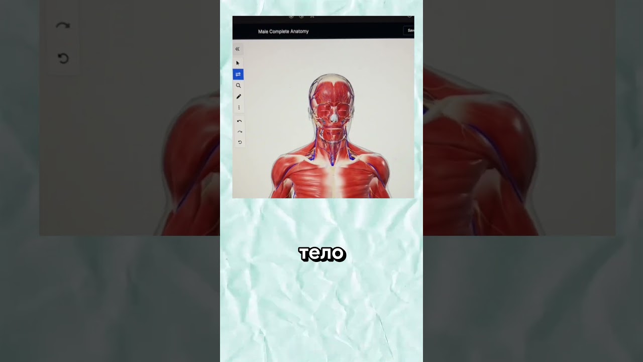 Сайты которые ты должен знать (Часть 206)