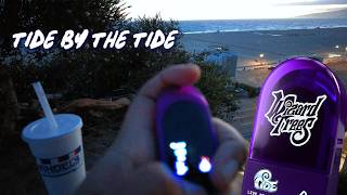Wizard Tree's Tide All-In-One Pen By The Beach Tide!