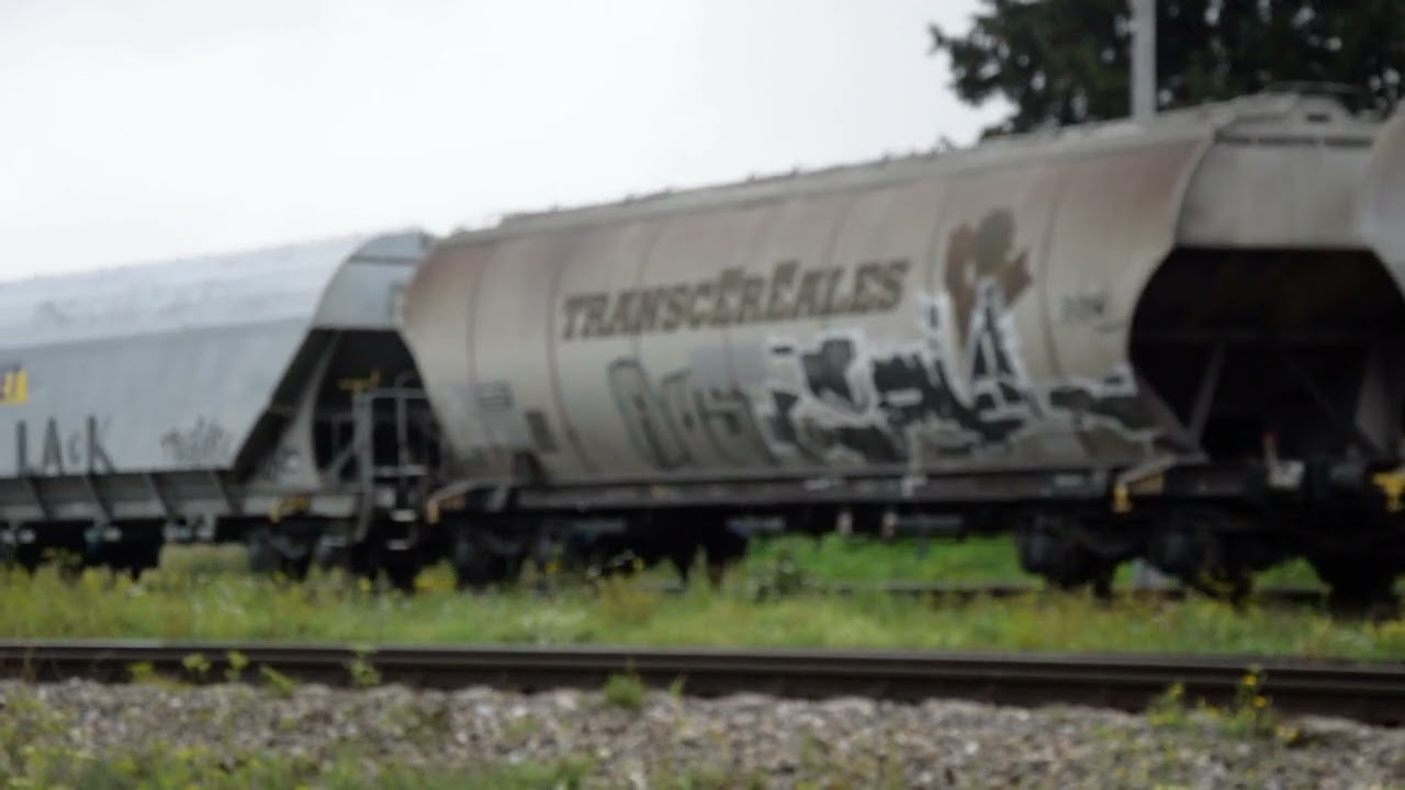 311D - 006 Batman CAPTRIAN i 401Da - 120 Kaczucha ze zbożówkami Zawada