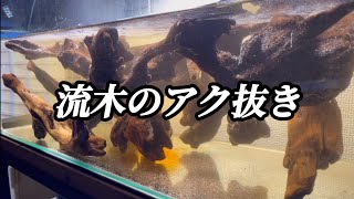 【アクアリウム】流木のアク抜きをしていく