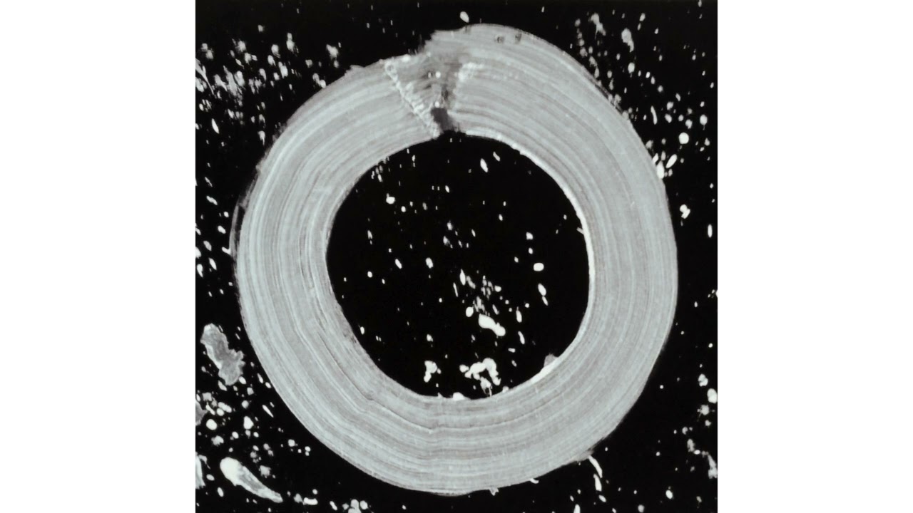 Alex Shapovalov   Мы одно