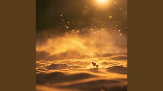 Dust and Daydreams