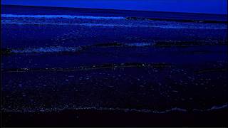 Endless Ocean Waves  Relaxing Sounds for Sleep, Study & Meditation