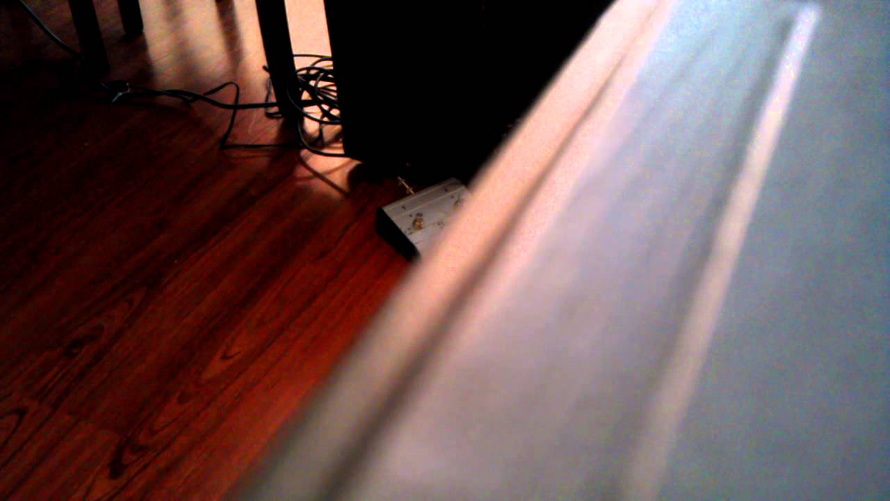 Traynor ycv50 blue with Gibson les Paul boss bd-2