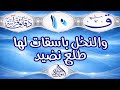 دقائق قرآنيةالآية ١٠ ق والنخل باسقات لها طلع نضيد الأستاذ طه ابو بلال
