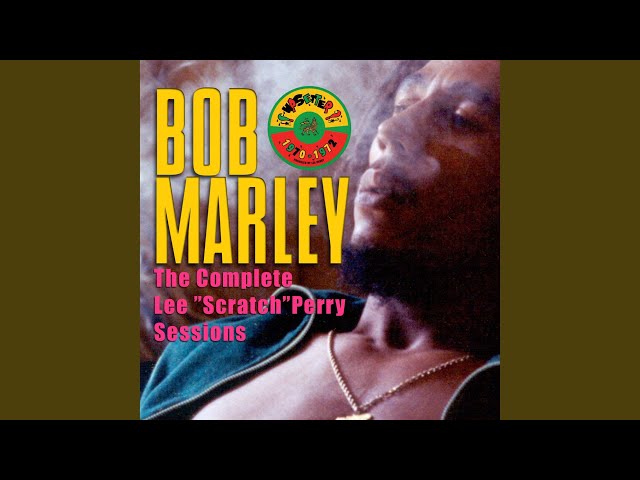 Bob Marley & The Wailers - Brand New Second Hand Dub