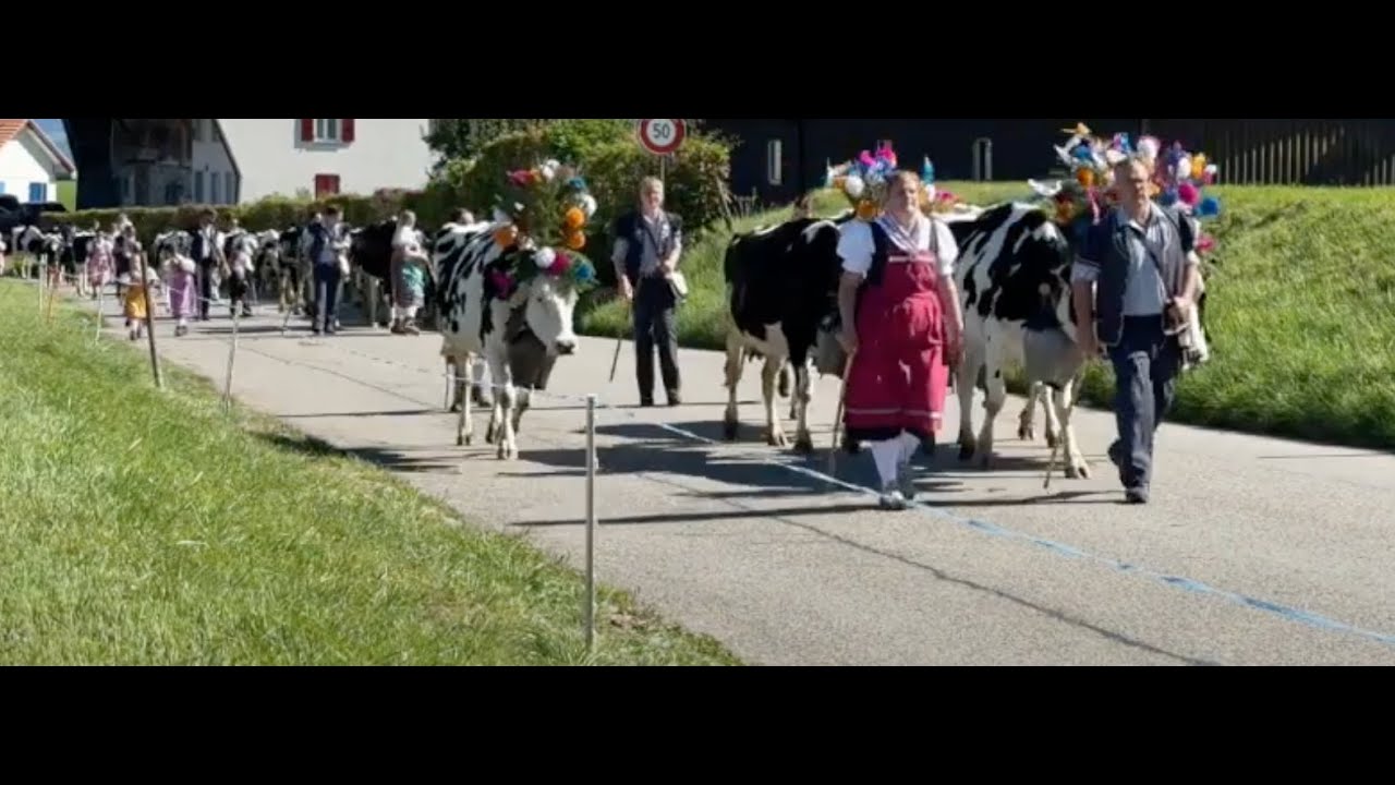 Désalpe Christophe et Gaëlle Esseiva 20 septembre 2025
