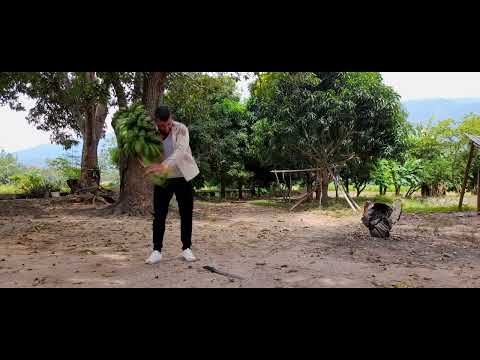 Video de Giovanni Cassiani