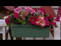 Set of 2 Large Adjustable Deck & Railing Planters on QVC Set of 2 Large Adjustable Deck & Railing Planters on QVC