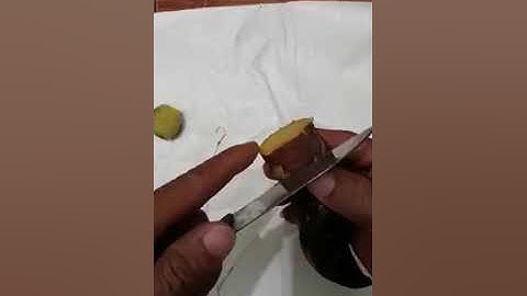 Cách móc mồi khoai câu cá trắm, trôi, chép cụ.