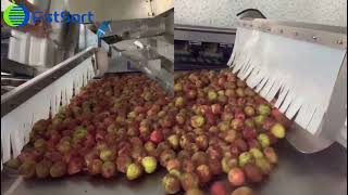 Automatic Lychee Cherry Tomato Longan Weighing Packaging Machine,Fruit Packing Scale Equipment