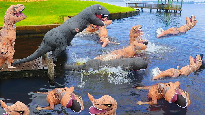 The Real Way Dinosaurs Went Extinct