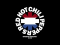 Red Hot Chili Peppers live Rotterdam, NED 1/16/1995 ((FULL SHOW))