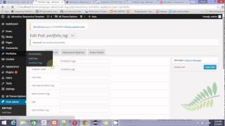 48 Creative wp theme: Import Dummy Data