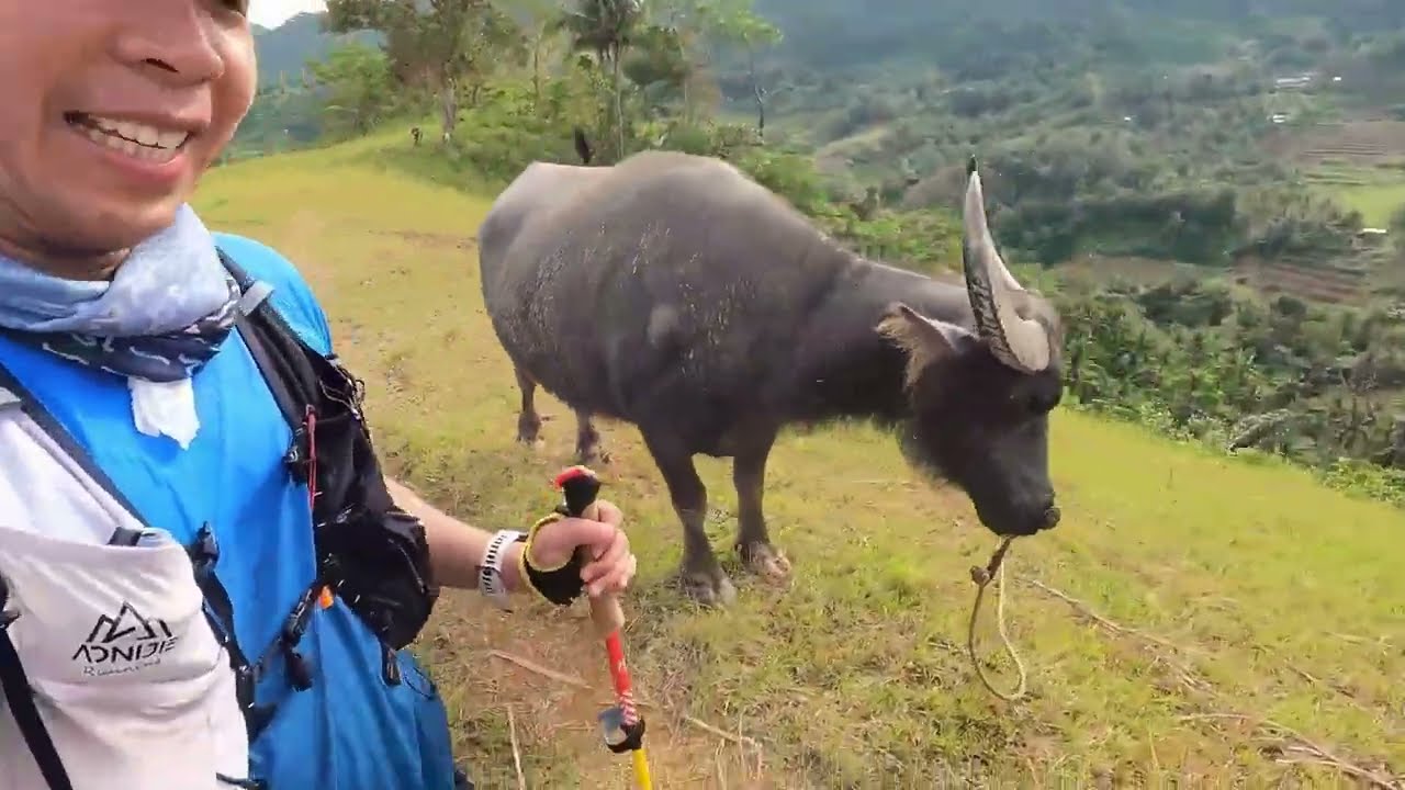 Dalagauete Crazified Trailfest - 50 KM Category