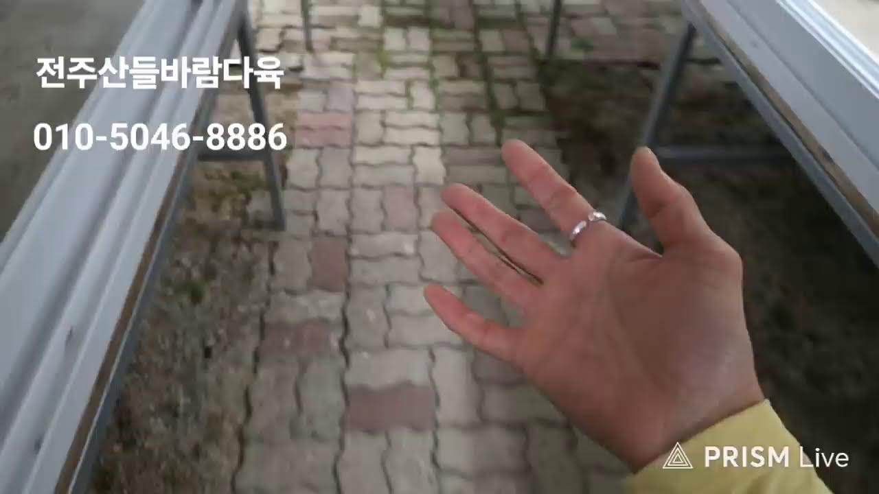 전주산들바람다육 라이브 방송