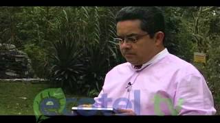 REGRESO PROGRAMA ECOS